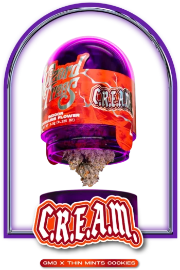 CREAM STRAIN