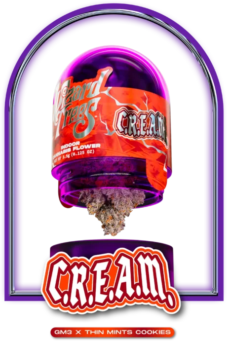 CREAM STRAIN