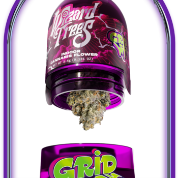 GRID LOCK STRAIN