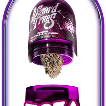 ZOZA STRAIN