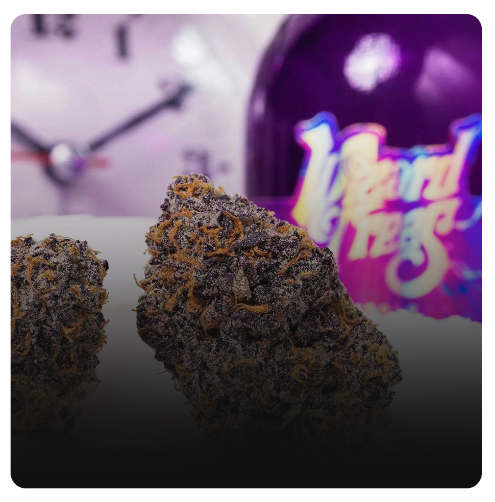 WIZARD TREES PREMIUM STRAIN